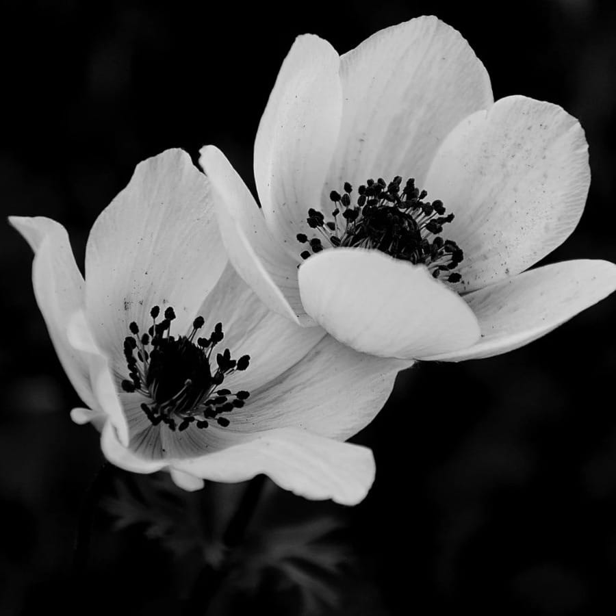 About page for The Velvet Lens - dedicated to honest conversations about toxic relationship dynamics, cheating healthy relationship boundaries